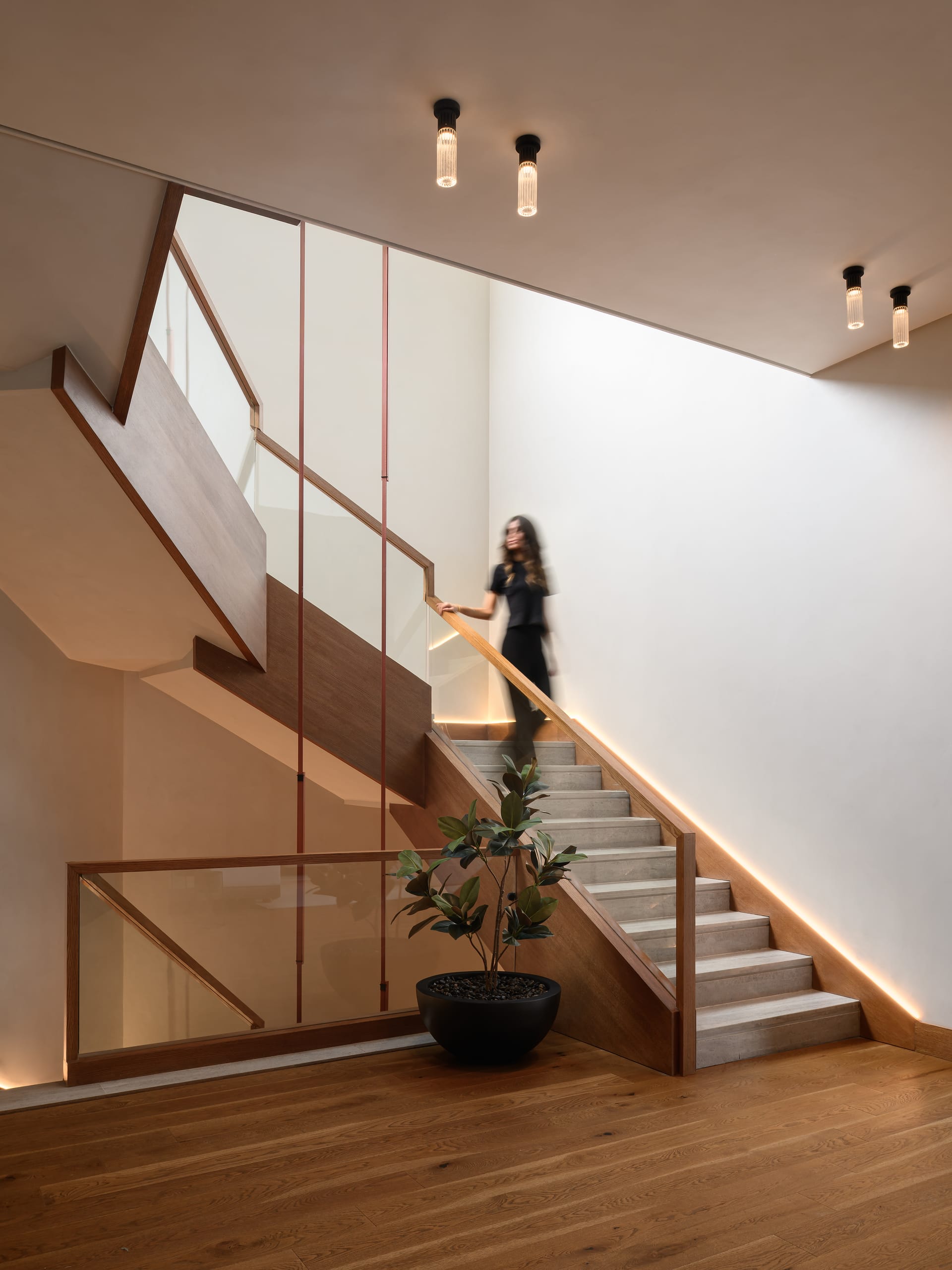 O.K Residence - Image 3