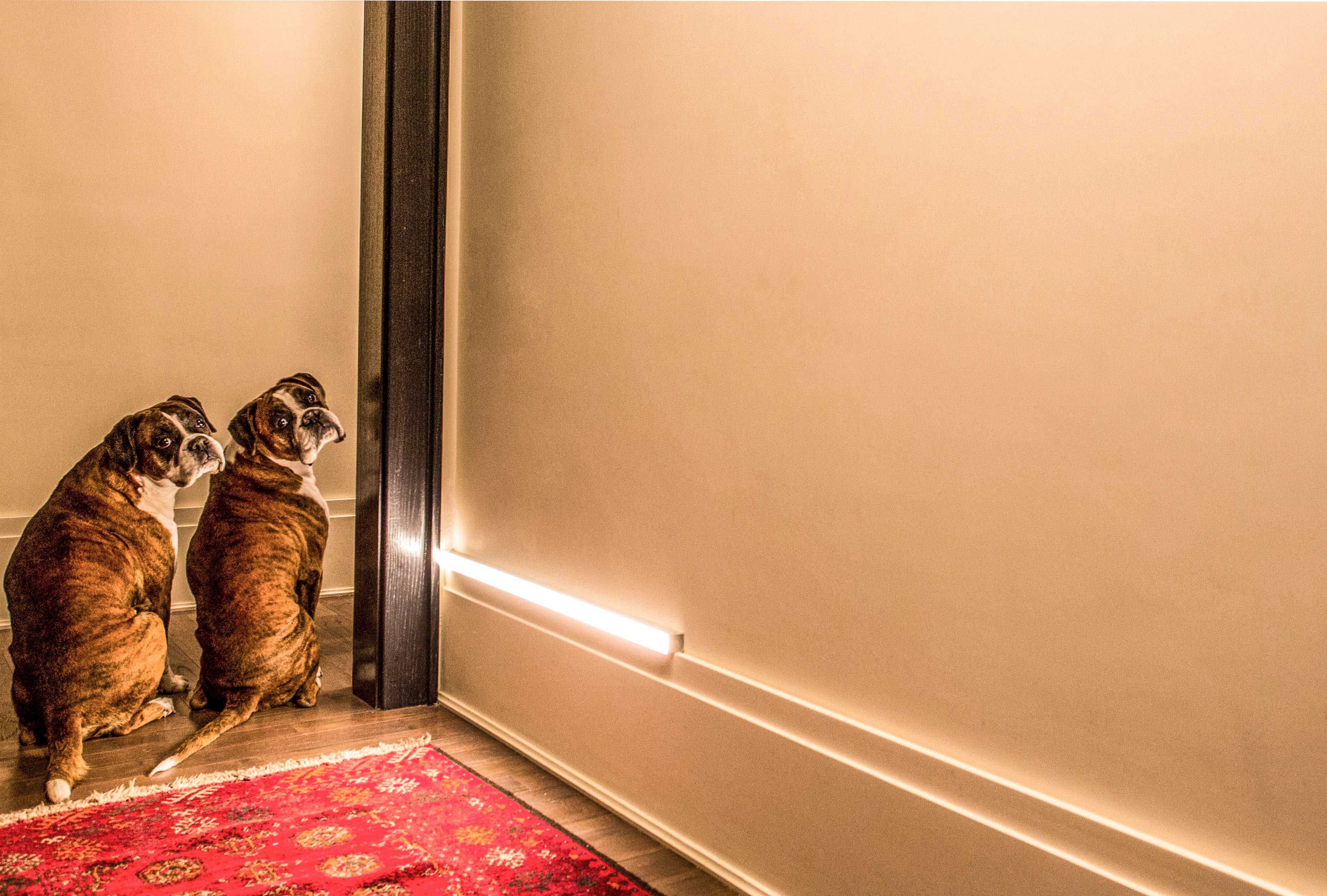 FF Residence - Final Image