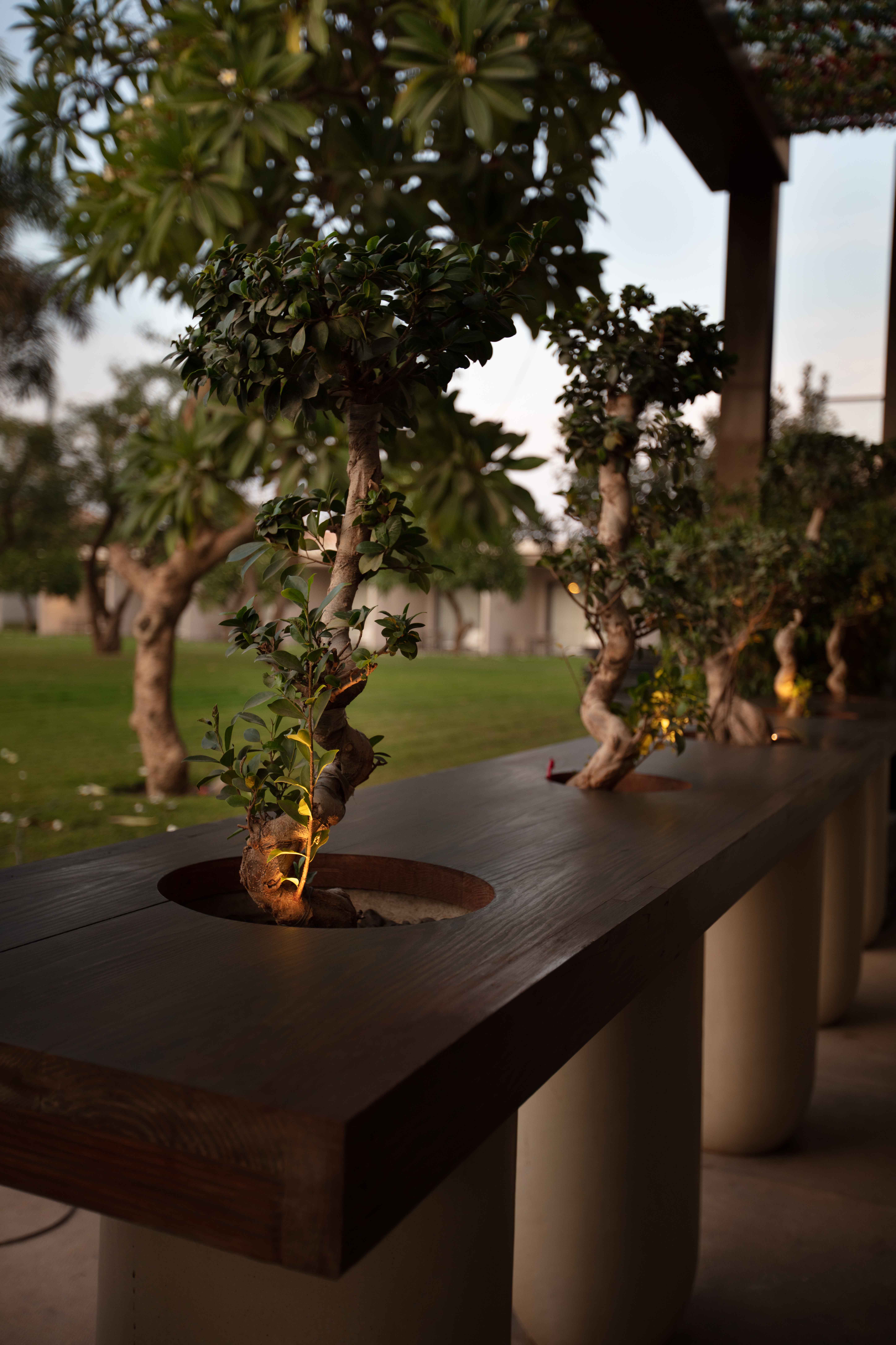 Lexies - Final Image