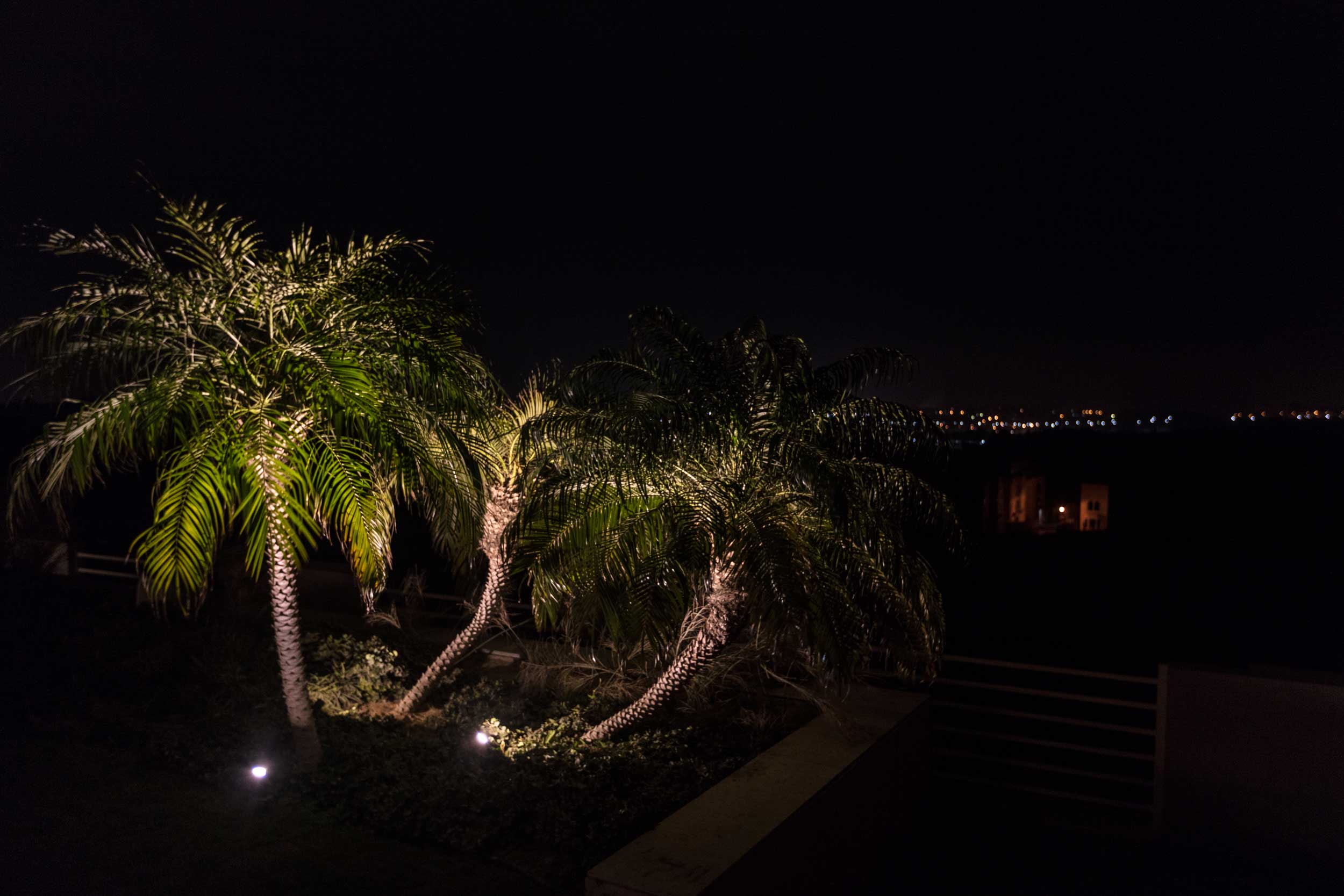 MA Project - Image 13