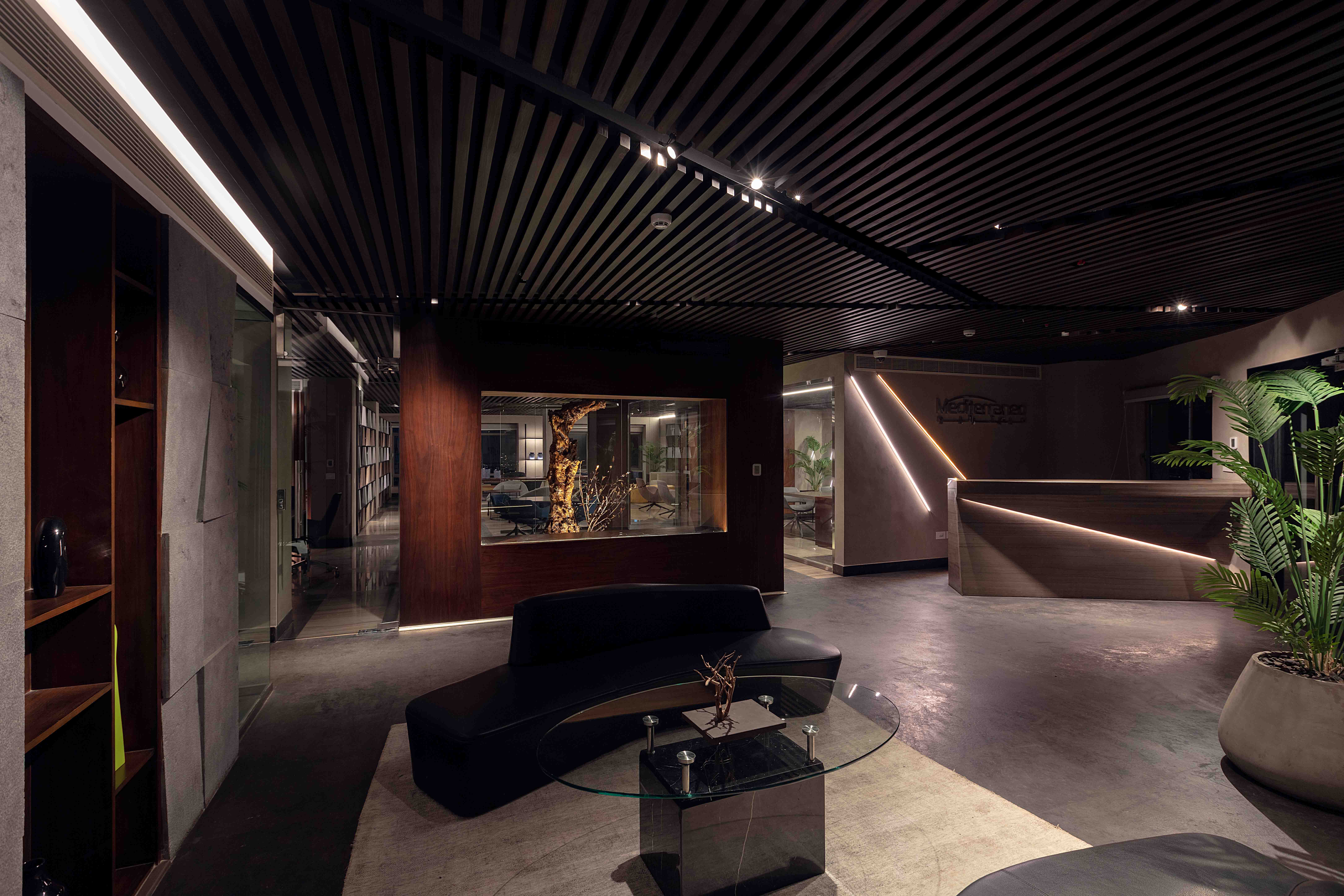 Mediterraneo - Image 6