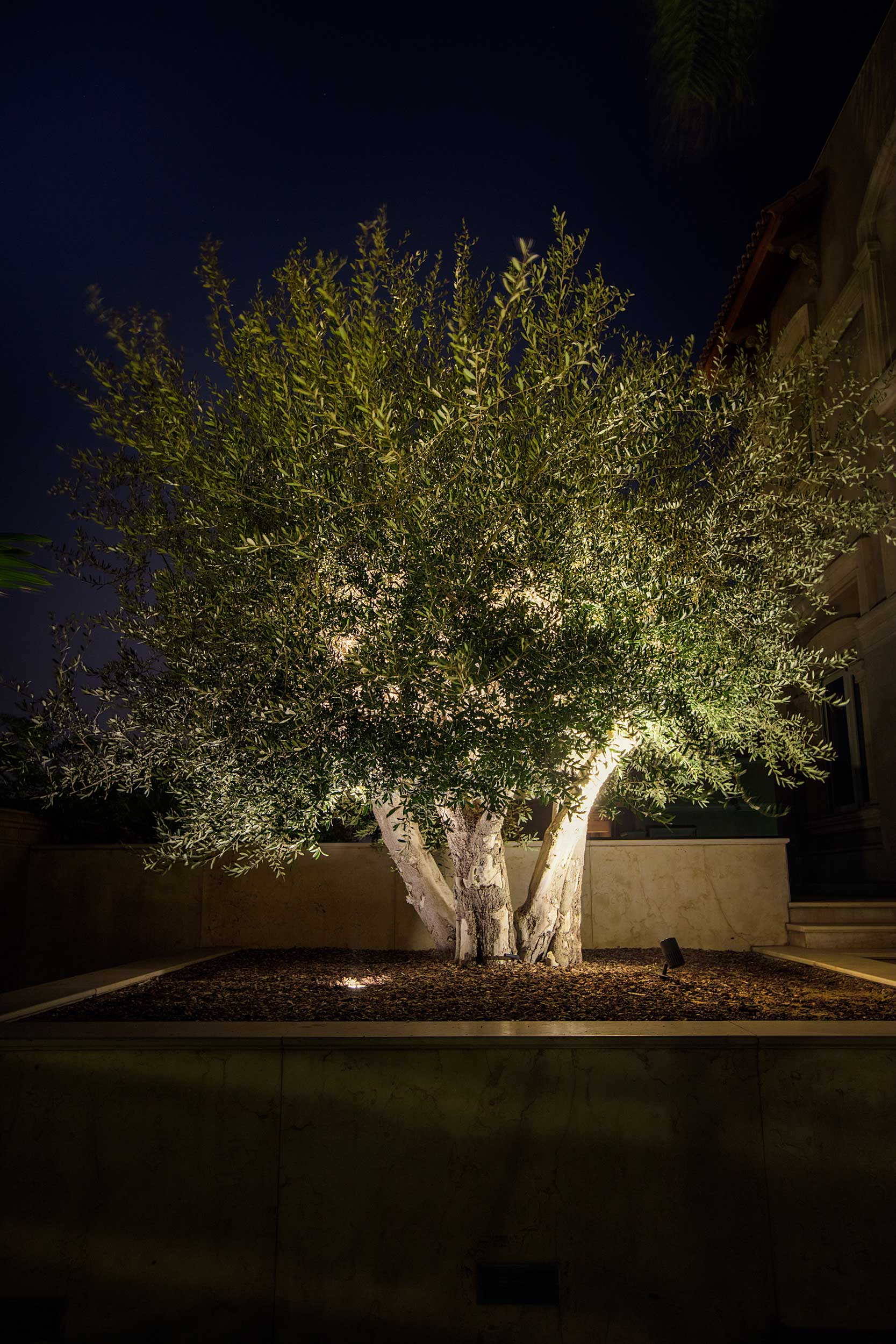 MT Residence - Image 2