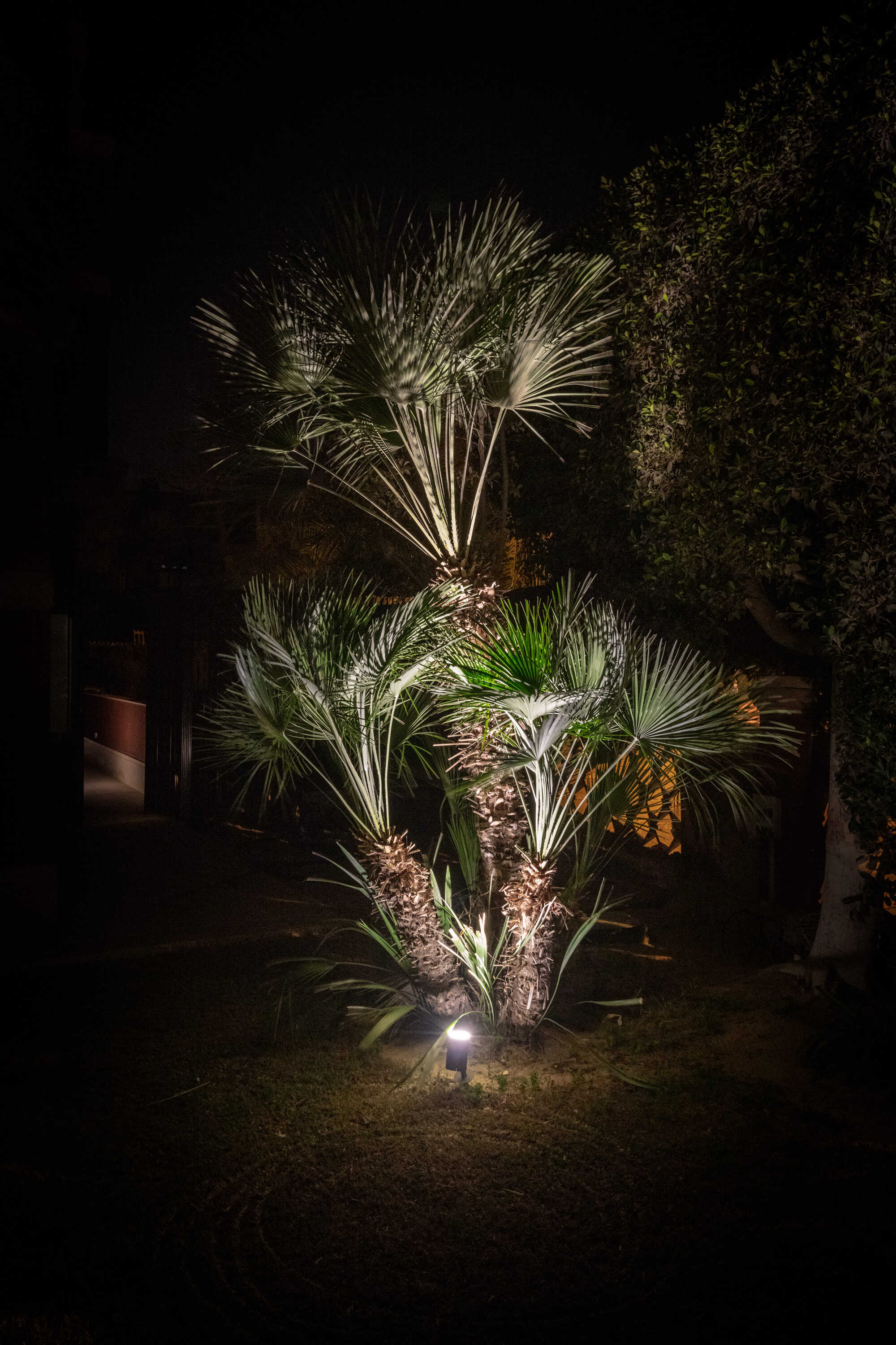 OA Project - Image 6